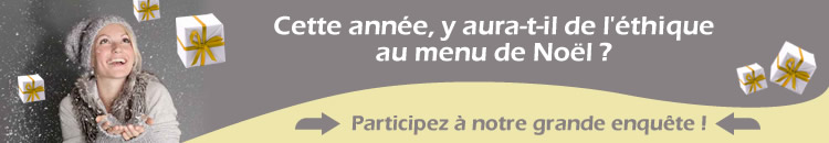 enqu�te no�l