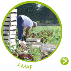 amap