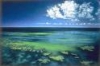 Mer pacifique