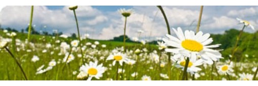 Les sols, fondements de la biodiversité