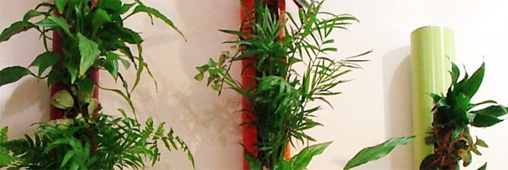 Les plantes qui purifient notre air