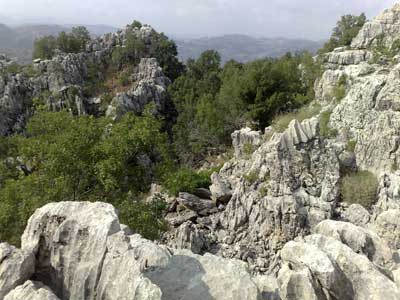 Developpement durable article