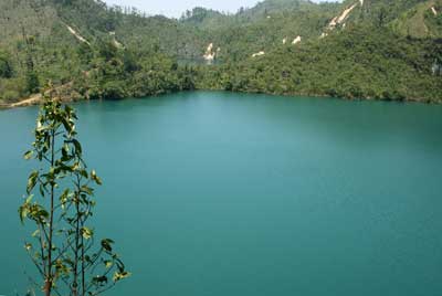 Developpement durable article