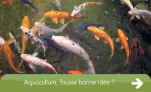 Aquaculture l'aquaculture