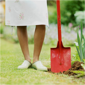 jardinage-article3