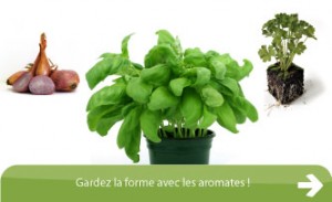 Aromates aromates