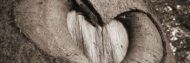 Ecopsychologie : de quoi parle-t-on ? Ecopsychologie : de quoi parle-t-on ?