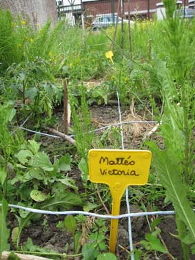 panneau etiquette binôme