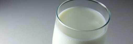 Le lait de soja, la boisson préférée des végétariens