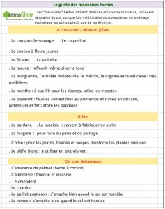 guide-mauvaises-herbe