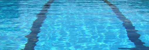 Les sports de la rentrée. Les activités en piscine