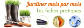 Jardiner l'été : les fiches pratiques