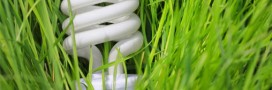 Comment choisir son fournisseur d'électricité ?