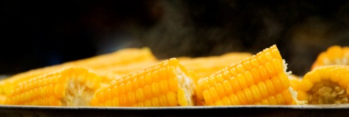 Trucs et Astuces. Différentes façons de cuire ses aliments à la vapeur