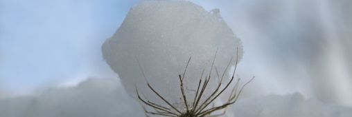 Trucs et Astuces. Bien-être en hiver !