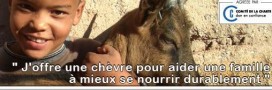 Une arche de Noël pour soutenir des familles au Bénin