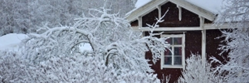 Préparer sa maison pour l'hiver : les conseils