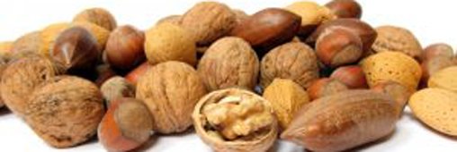 Noix, amandes et noisettes, des atouts coeur