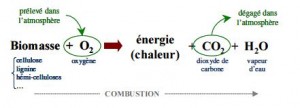 combusion-libere-energie-bois