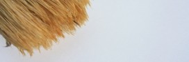 Des peintures écolo et naturelles : c'est possible ?