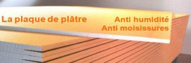 Contre les moisissures, la plaque de plâtre Pregywab