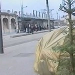 sapin-trottoir