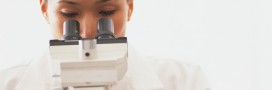 Le lien bisphénol A et cancer du sein confirmé