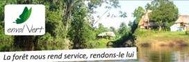 Envol'Vert : rendre à la forêt qui nous a tant donné 