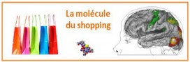 L'hormone qui vous fait (trop) acheter
