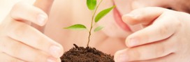 Naturopathie, la santé par l'éducation et le conseil - 1