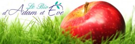 Le Bio d'Adam et Eve : la pause déjeuner 100% bio
