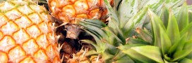 Recette bio. Quinoa à l'ananas
