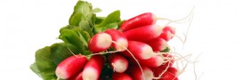 Recette du gaspacho aux fanes de radis