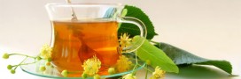 Les 10 plantes qui soignent