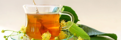 Tisane, thé, infusion : quelles différences ?