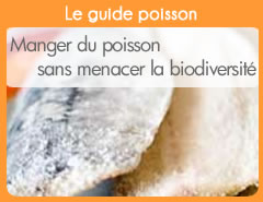 guide poisson