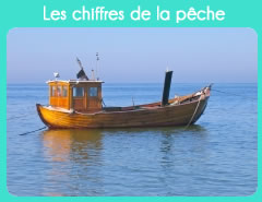 Les chiffres de la pêche
