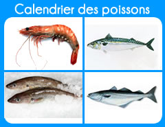 Calendrier des poissons