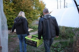 amap-ferme-pommier-cueillette