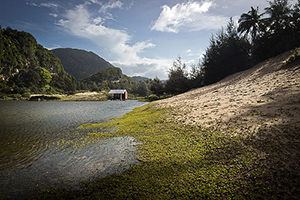 sumatra-foret-deforestation-03