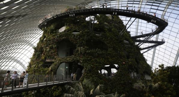 ecopark-dome-cloud-foret