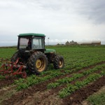 Tracteur Quéménès