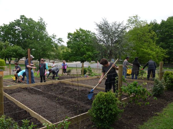 Potagers urbains urbaculture