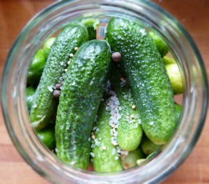 Cornichons 1