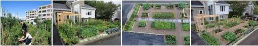 potagers urbains