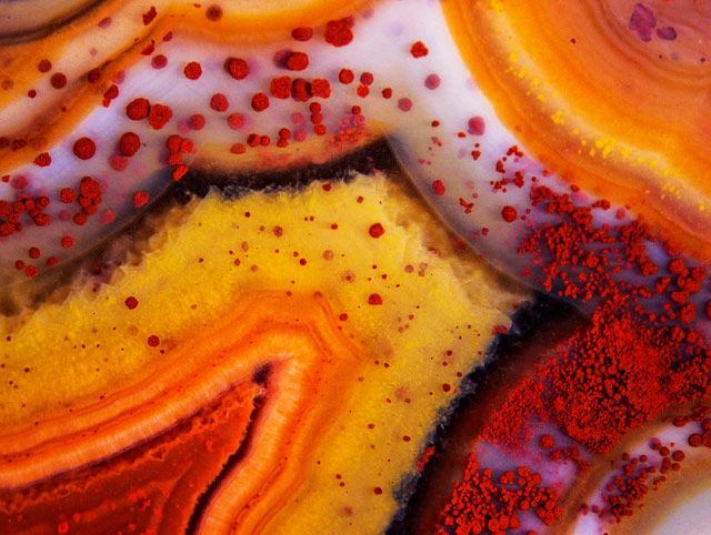 photos au miscroscope infiniment petit sciences small world nikon Entry26349_Douglas_Moore_agate