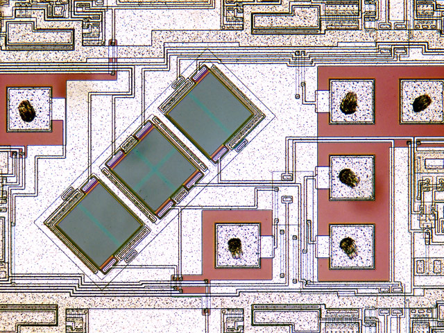 photos au miscroscope infiniment petit sciences small world nikon Photos au microscope Dennis_Hinks_dvd-lens