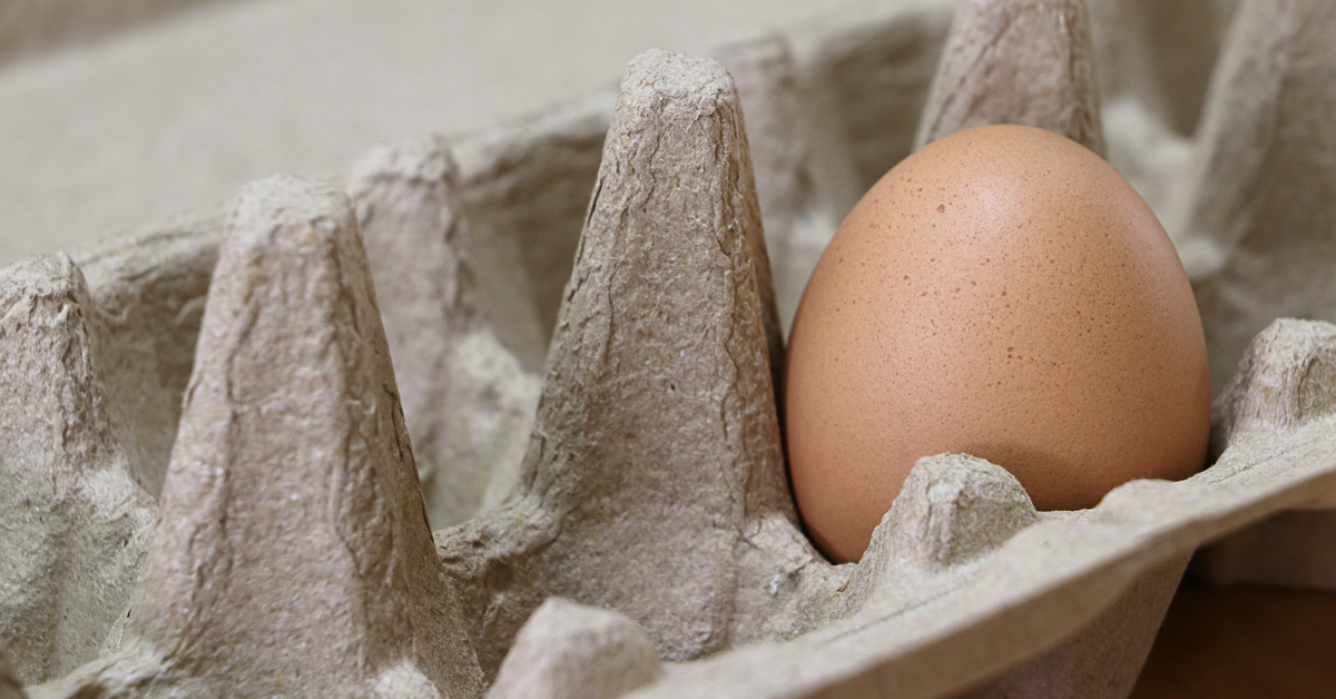 Par Quoi Remplacer Les Oeufs Dans Vos Recettes