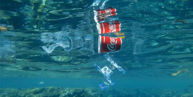 déchets Coca-Cola