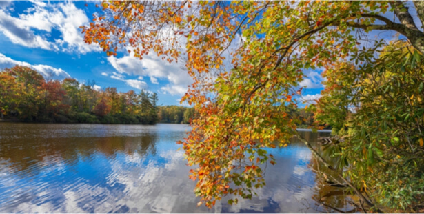 réchauffement climatique couleurs d'automne